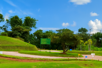 Vista 4